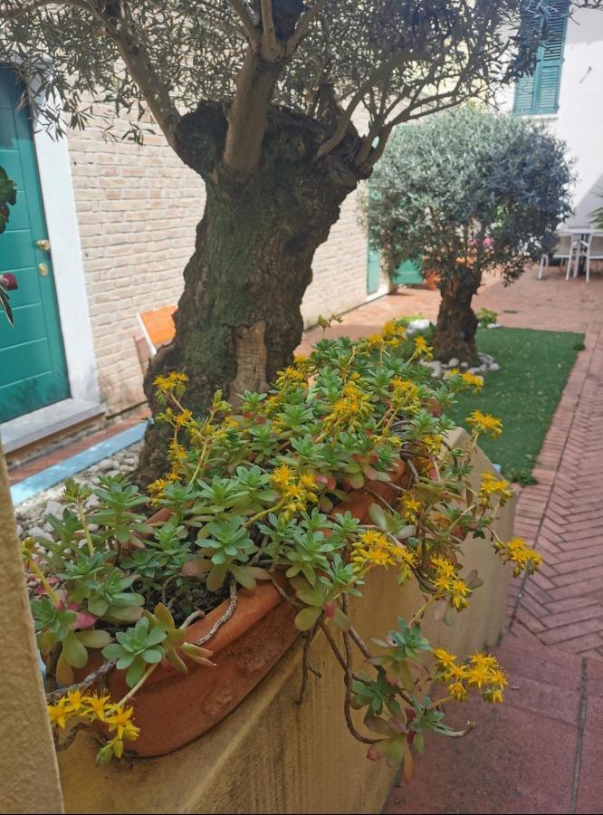 B&B La Chicca Rávena Exterior foto